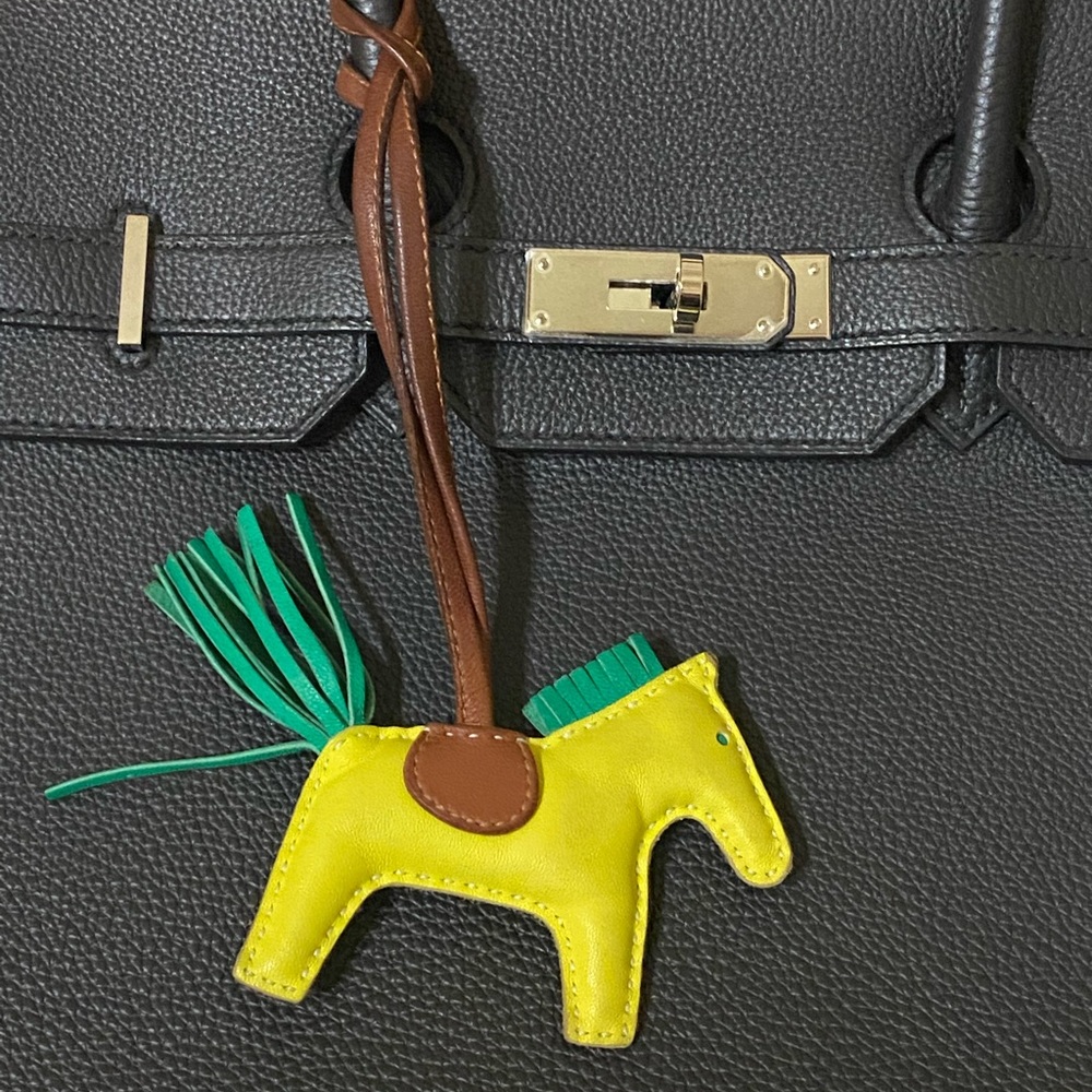 RARE YELLOW HERMÈS
Milo GriGri Rodeo Bag Charm pm - Picture 2 of 16